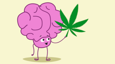 How Cbd Affects the Brain