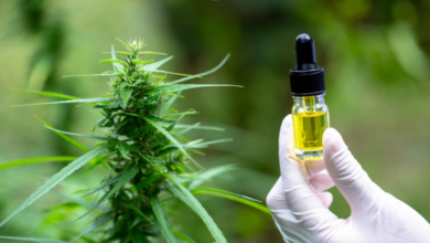 The High Road to Chronic Pain Management with Medical Marijuana